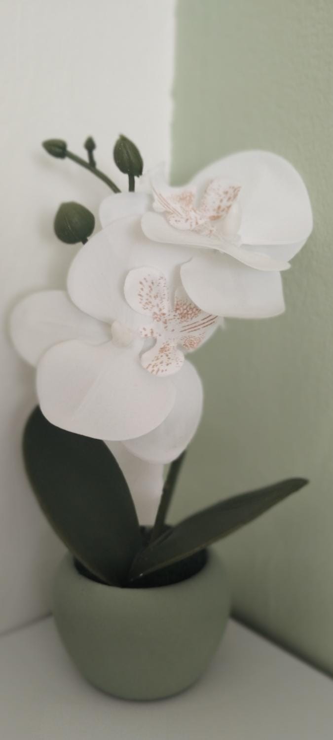 Decorative detail