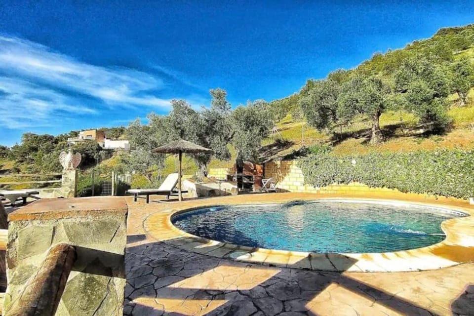Swimming pool, Swimming pool
