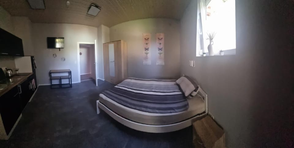 Bed, TV and multimedia, Kitchen or kitchenette, Photo of the whole room, Bedroom