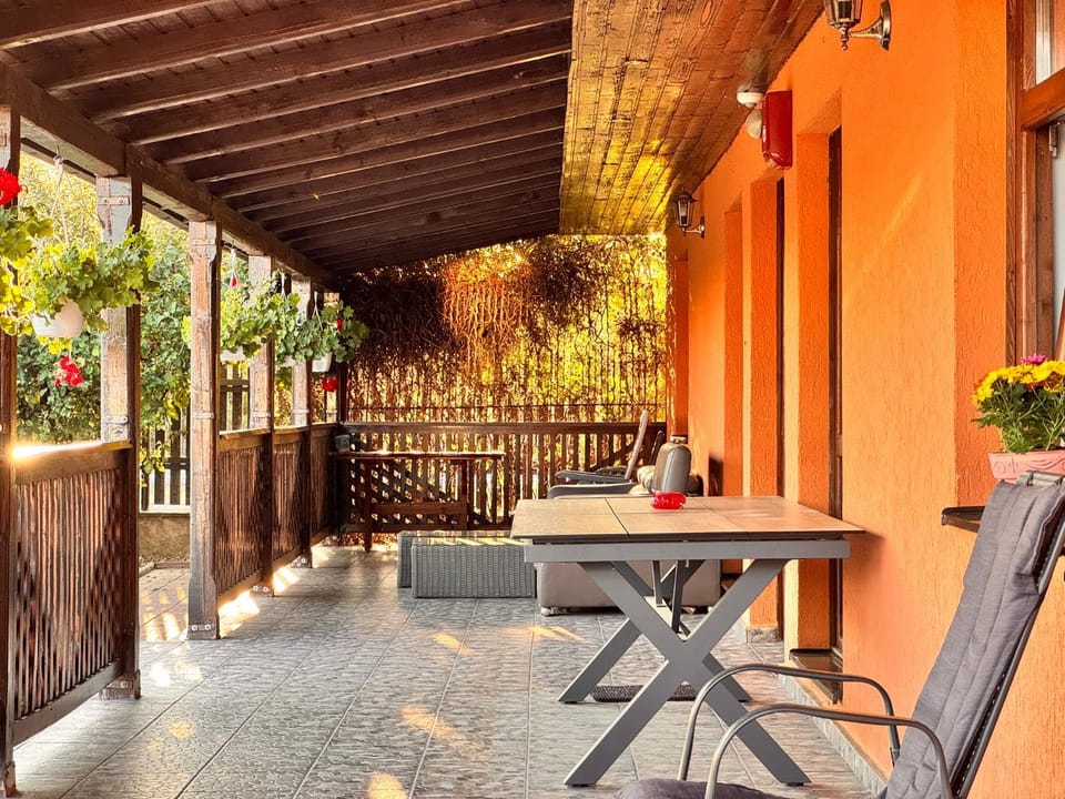 Patio, Day, Balcony/Terrace, Seating area