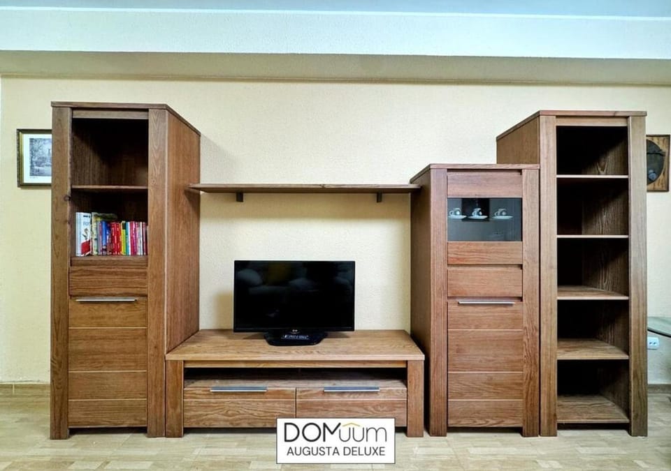 TV and multimedia