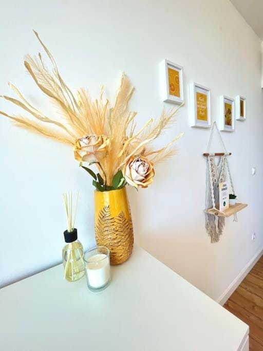 Domus da Ria - Alboi III Apartment in Aveiro