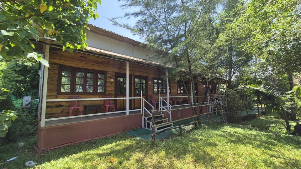 Property building, Day, Garden, Garden view
