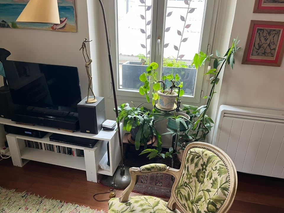 Joli deux pièces bien decores Apartment in Montrouge