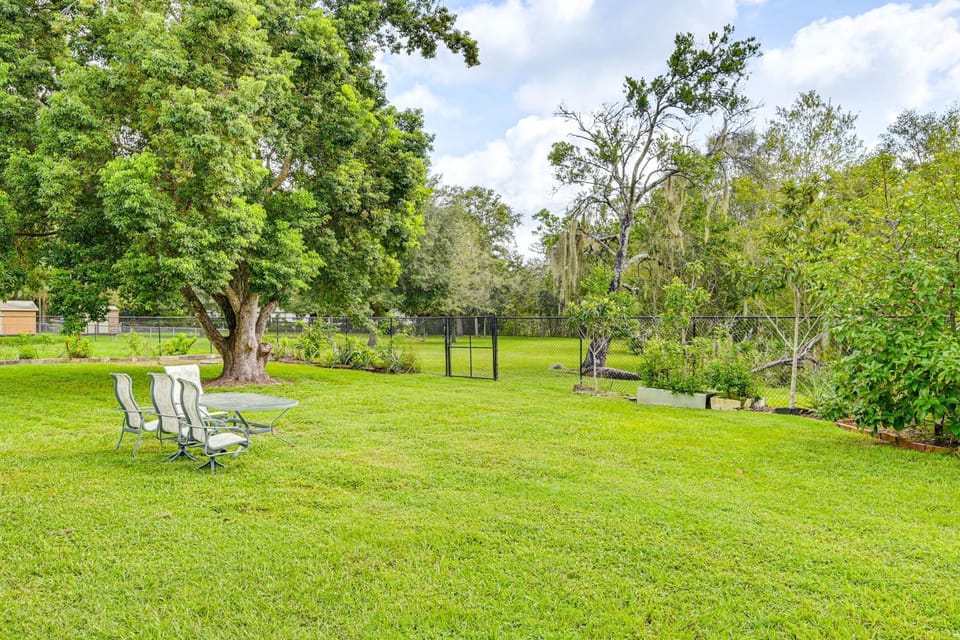 10 Mi to Adventure Island: Home w/ Fenced Yard! House in Lutz