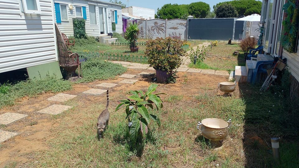 Day, Garden