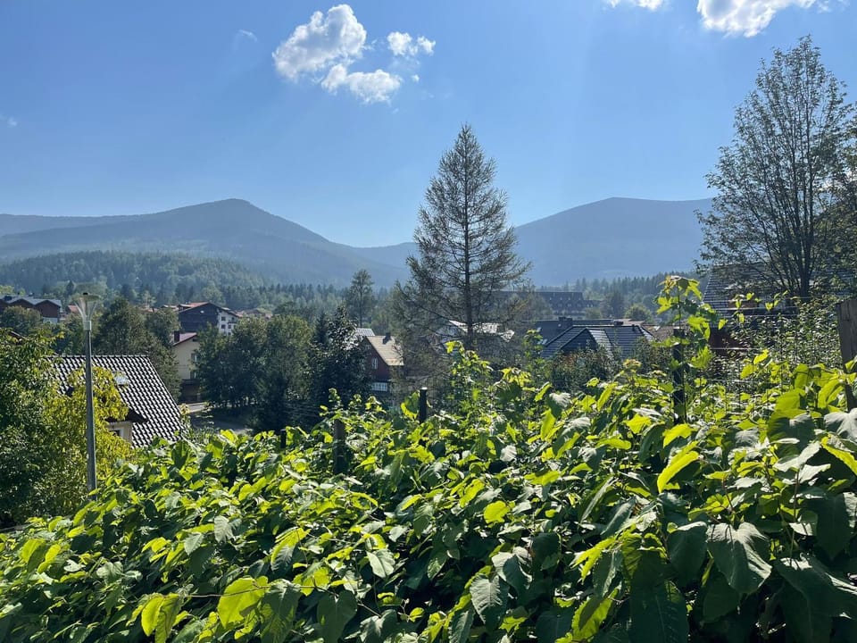 View (from property/room)