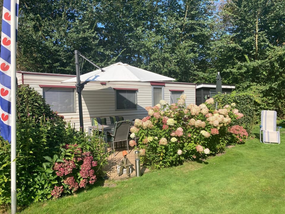 Property building, Garden, Garden view