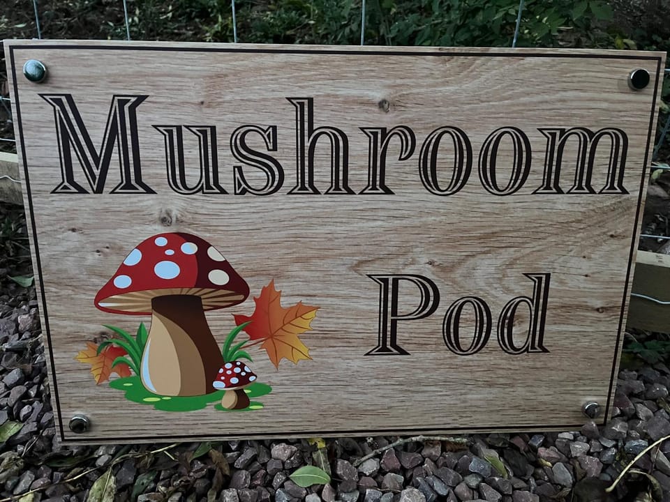 Mushroom Pod Nature lodge in Forest of Dean