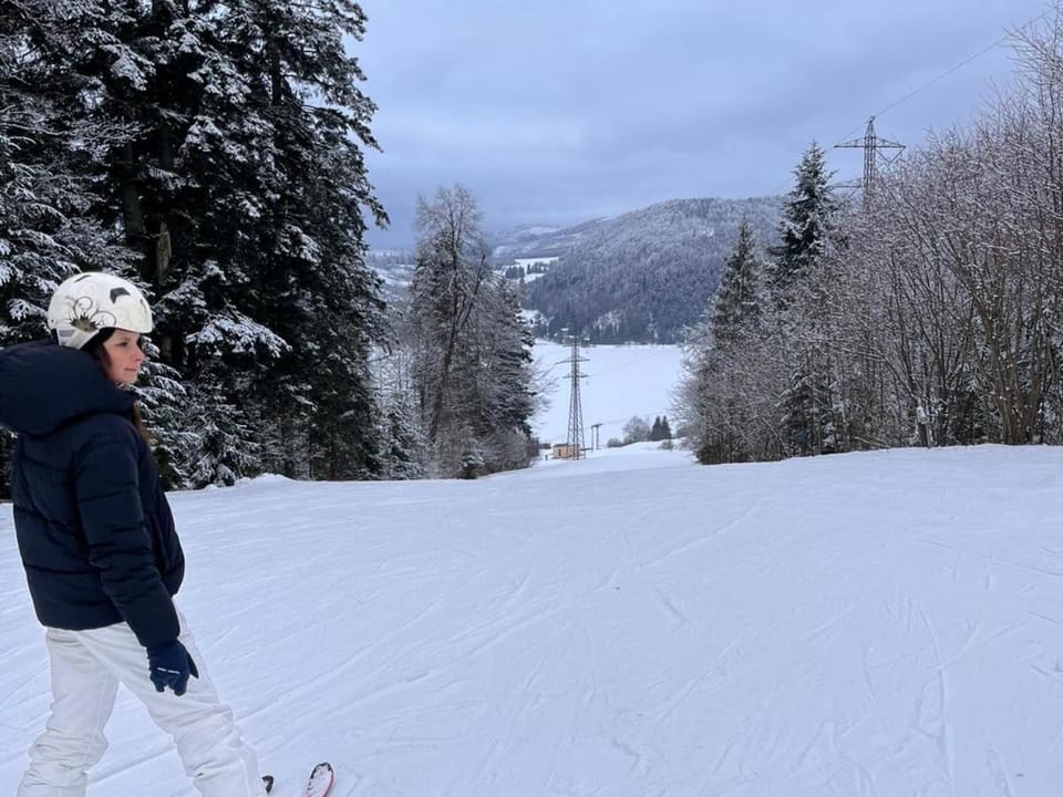 Lakeforest Dedinky Wellness Chata privát jacuzzi aj sauna, výhľad na jazero Villa in Slovakia