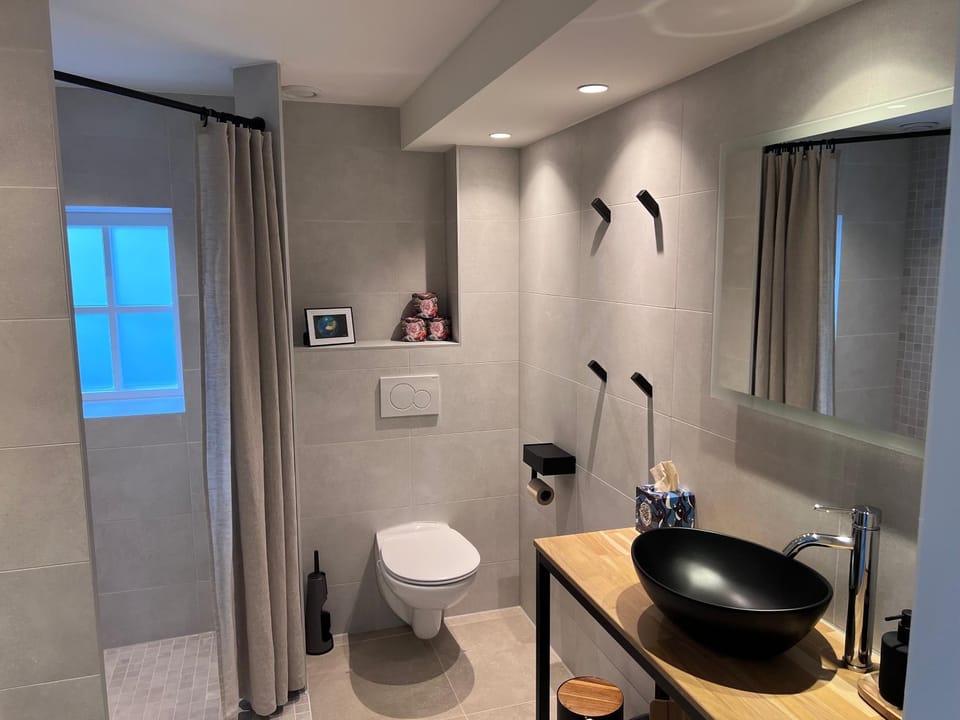 Shower, Toilet, Bathroom, hair dryier, towels