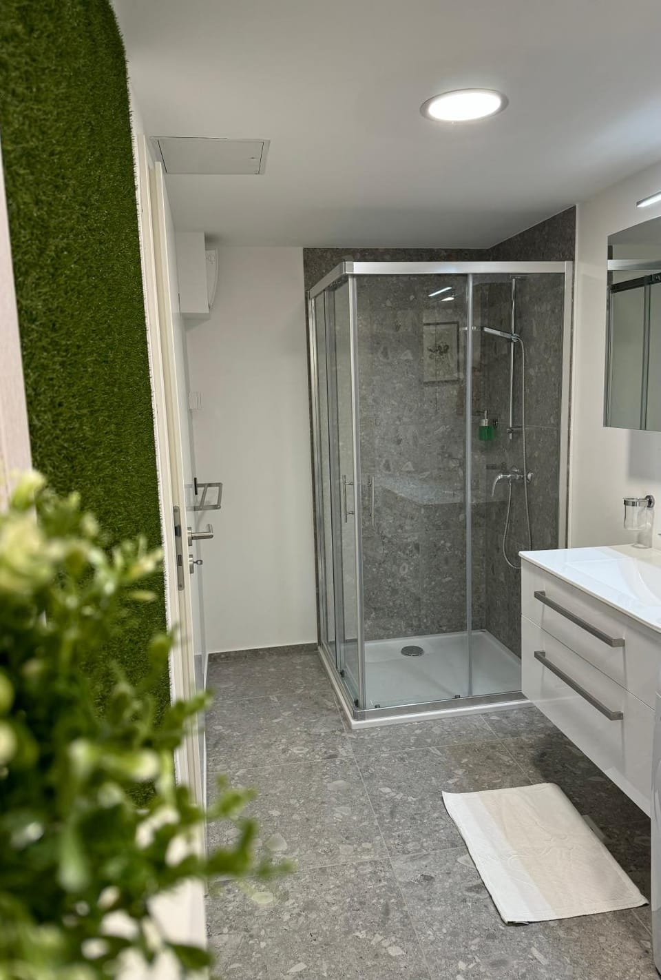 Shower, Bathroom