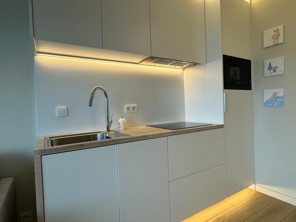 Kitchen or kitchenette, oven, stove