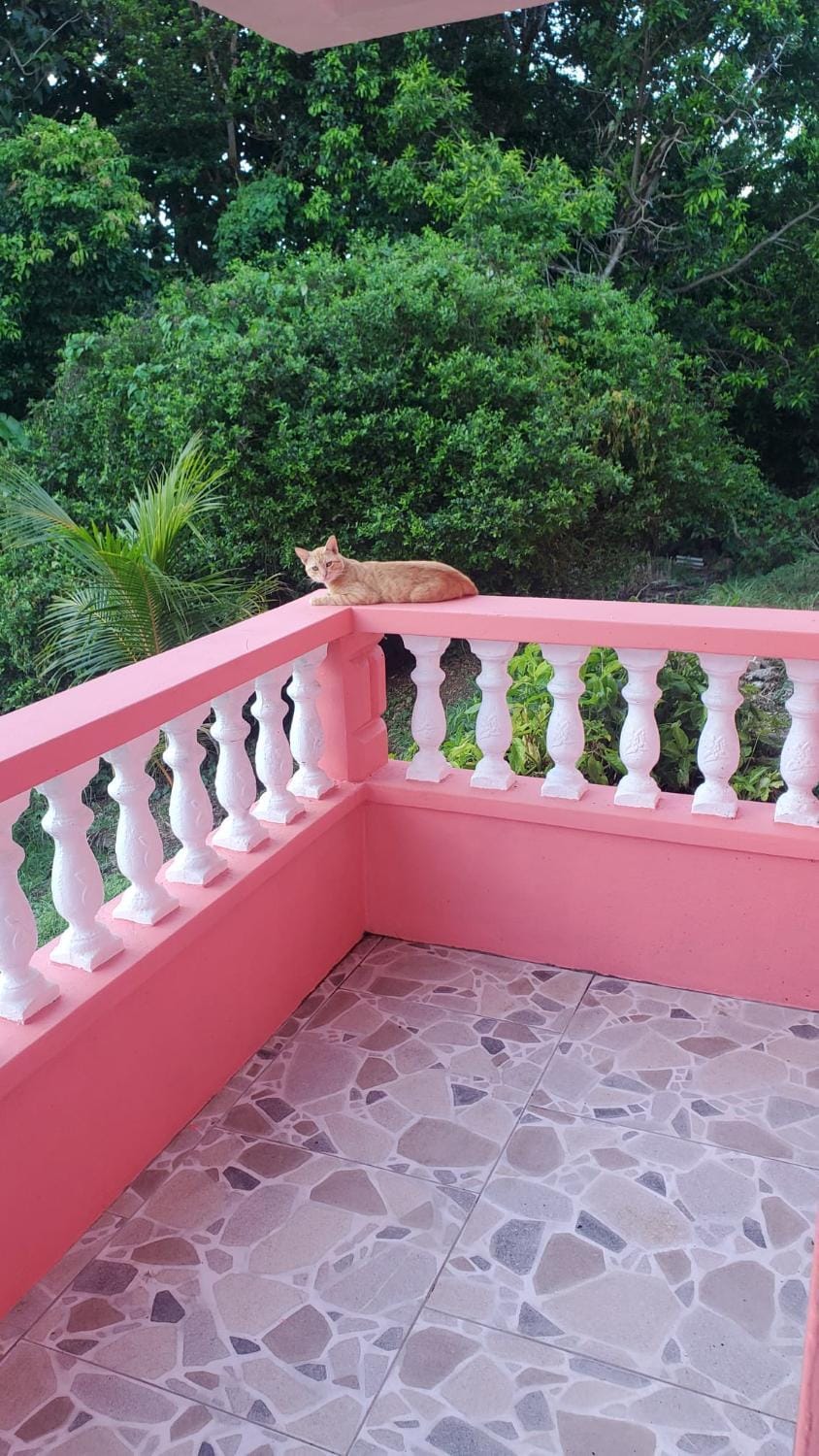 Nature's Haven Bed and Breakfast in Dominica