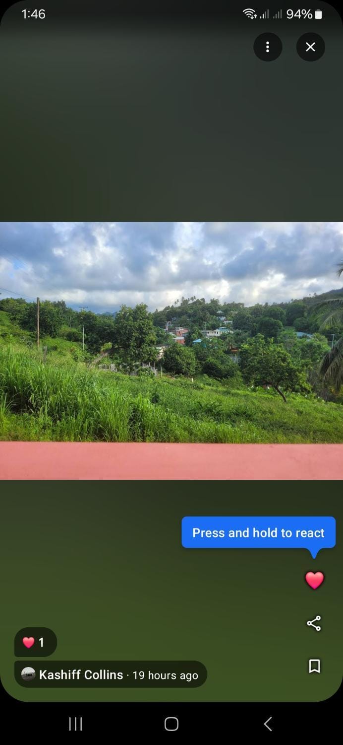 Nature's Haven Bed and Breakfast in Dominica