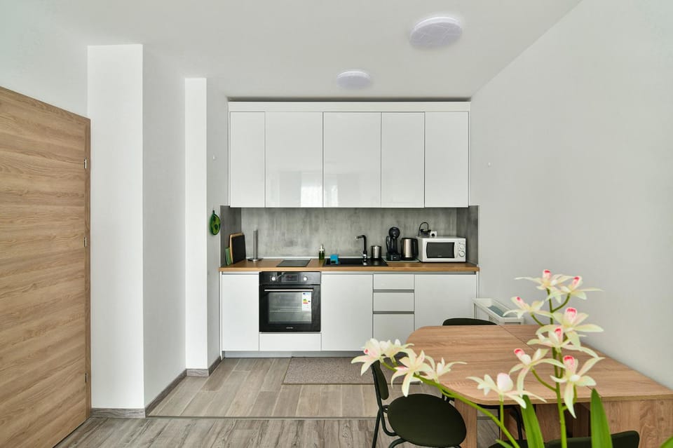 Kitchen or kitchenette, oven, stove