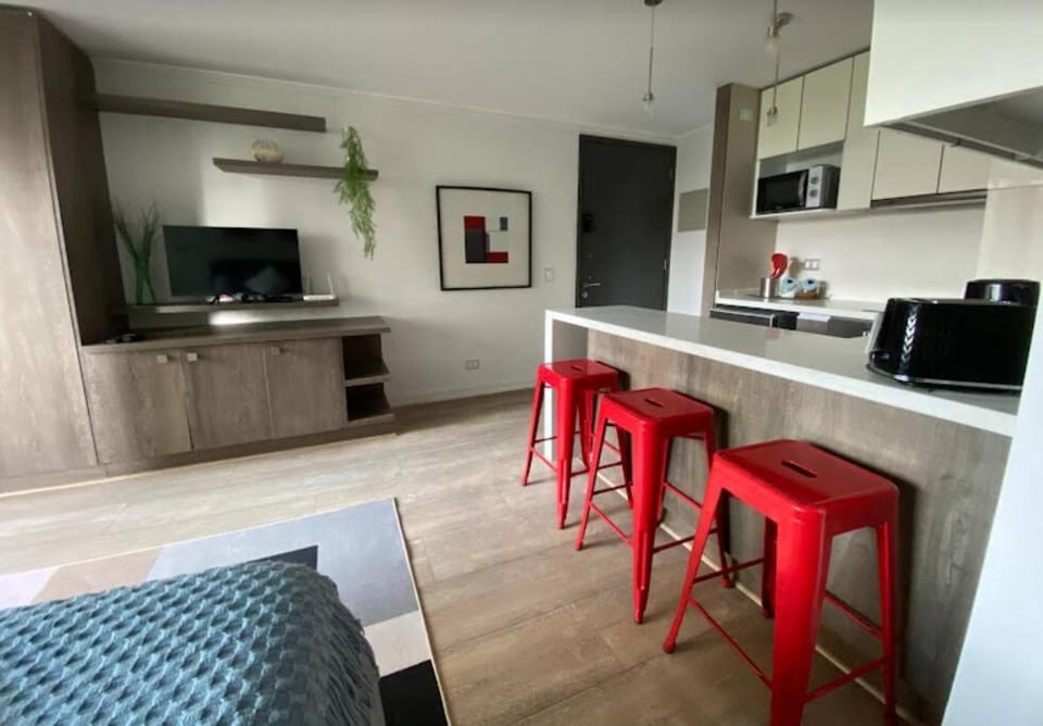 Full Equipado con Terraza Apartment in Las Condes