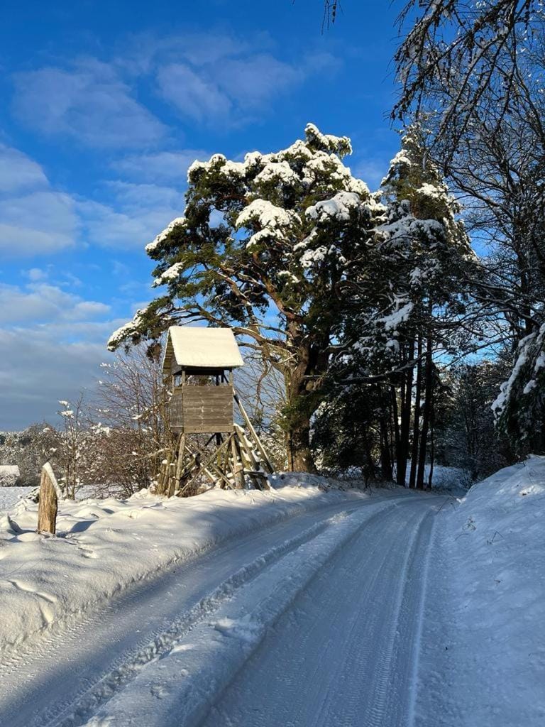 Oaza Mazurska - Willa Lasek Bed and Breakfast in Poland