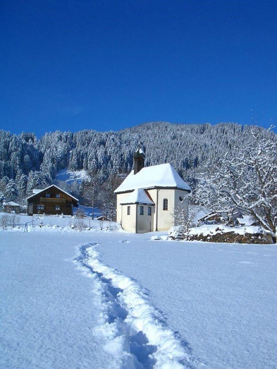 Winter