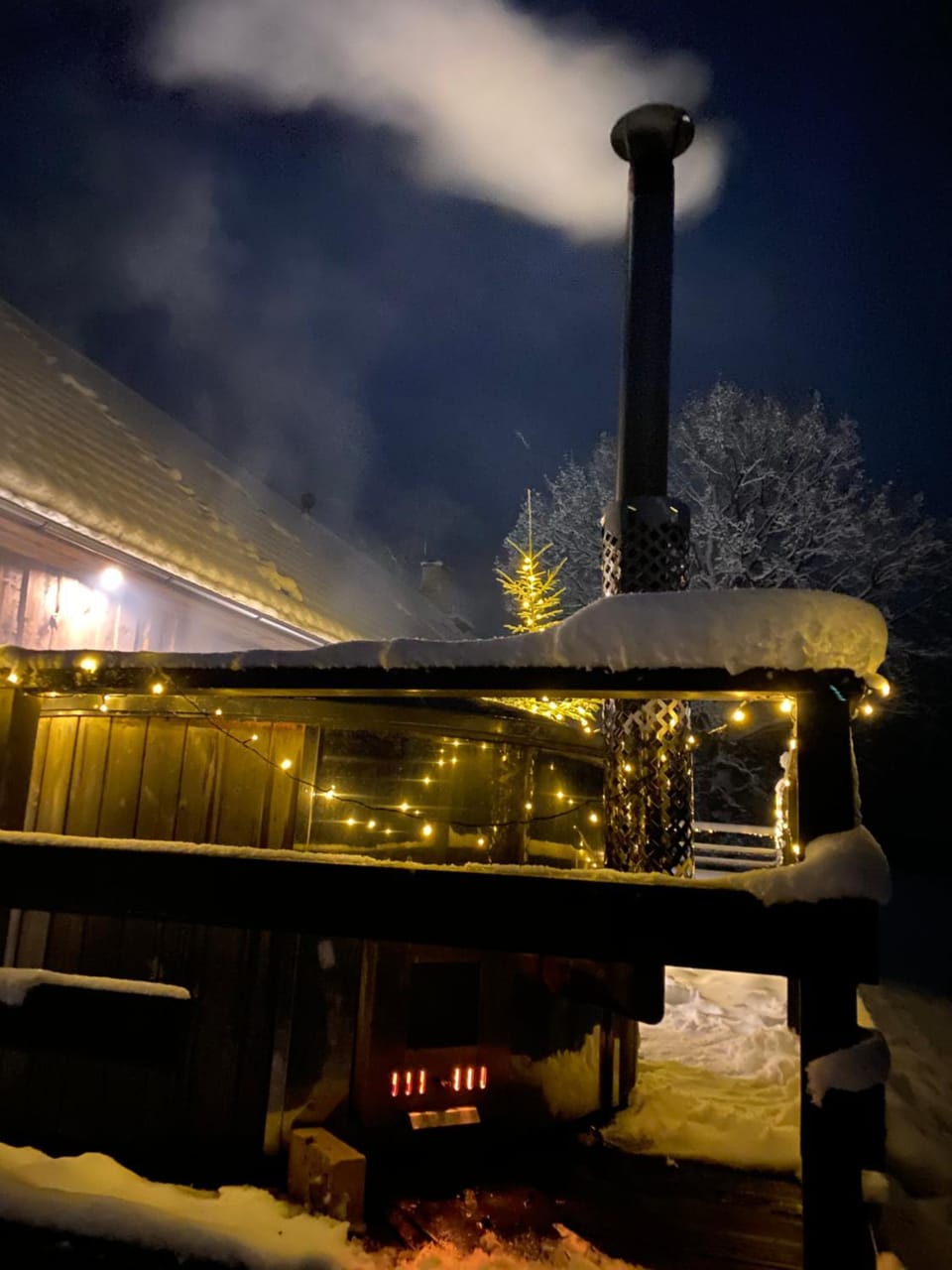 Night, Winter, Sauna
