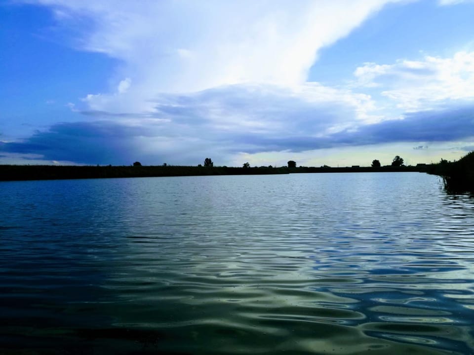 Lake view