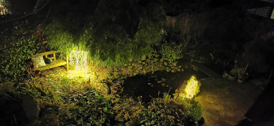 Garden view