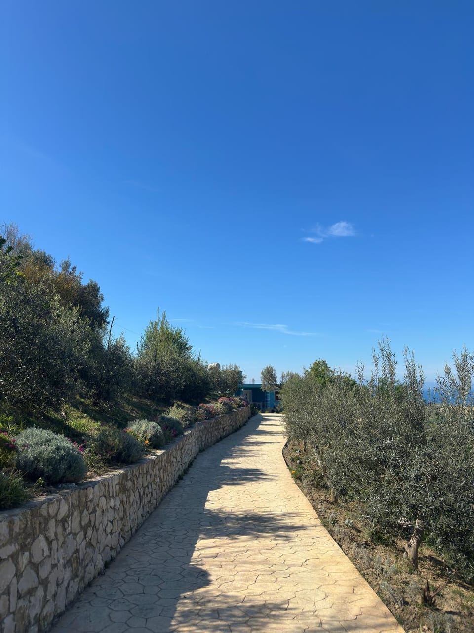Rodon Blue Villa House in Europe
