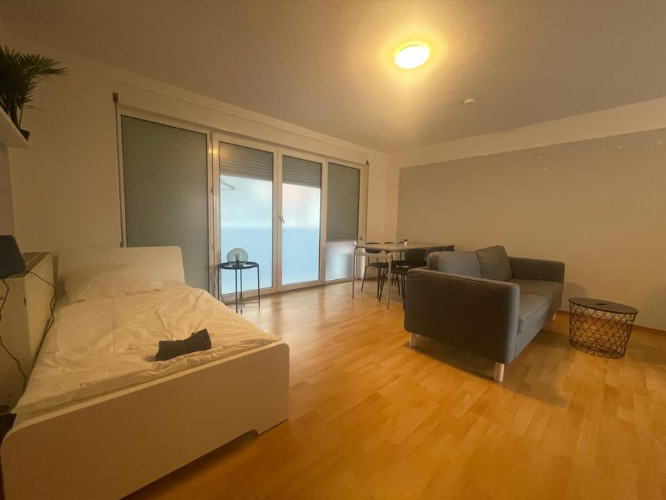 Bed, TV and multimedia, Living room, Photo of the whole room, Seating area, Bedroom