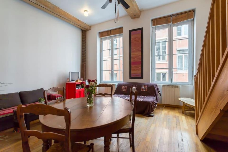 beau canut à côté du gros cailloux Apartment in Lyon