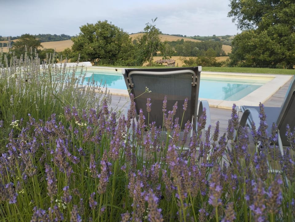 Gîte cosy en pleine nature à Grazac House in Occitanie