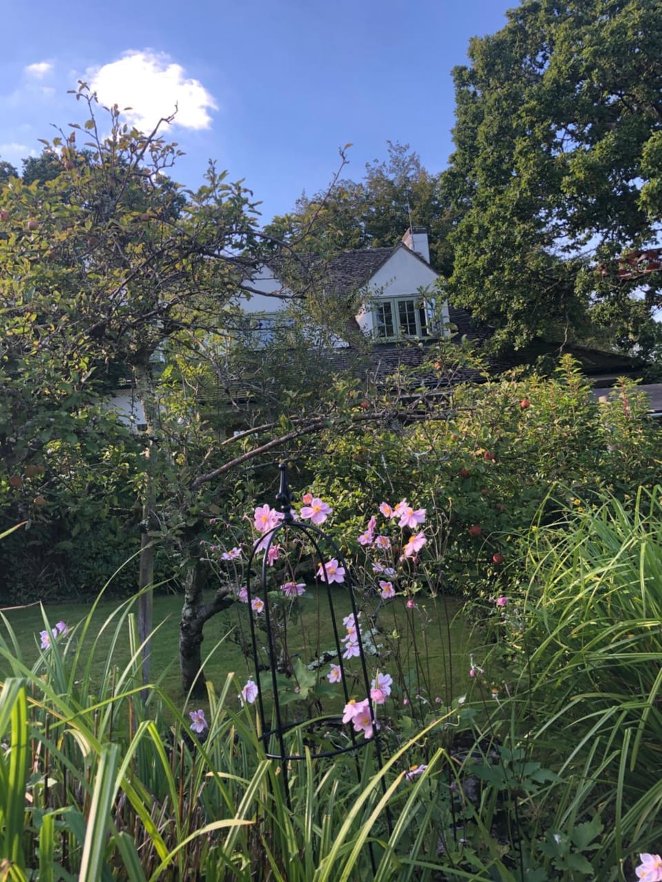 Garden, Garden, Garden view