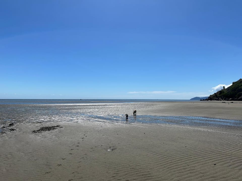 Summerspring Beachfront Accommodation Bed and Breakfast in Tasman District, Tasman, New Zealand
