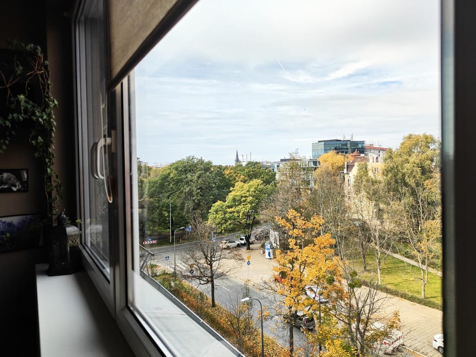 City view