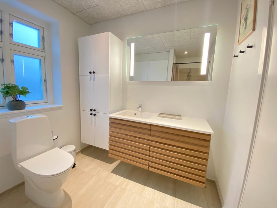 Toilet, Bathroom