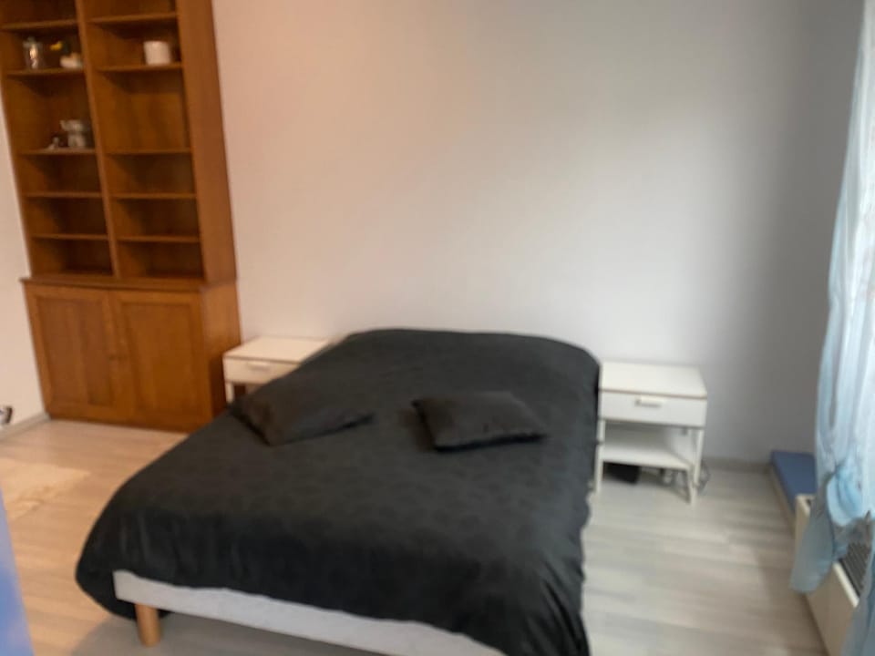 Résidence ST Clément Apartment in Metz