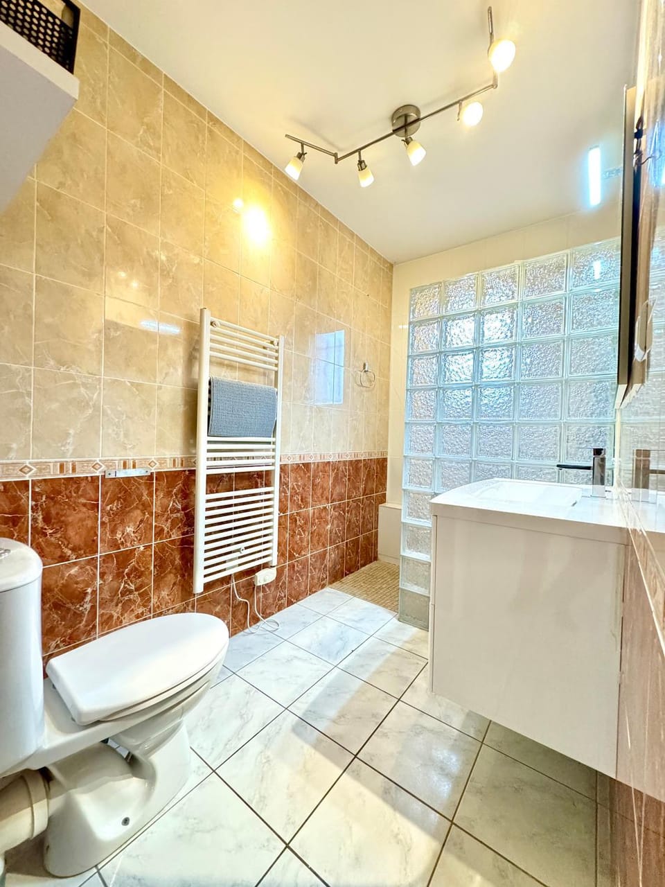 Shower, Toilet, Bathroom, towels