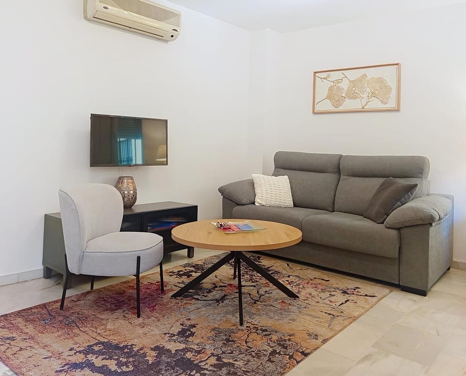 TV and multimedia, Living room, Seating area, air conditioner