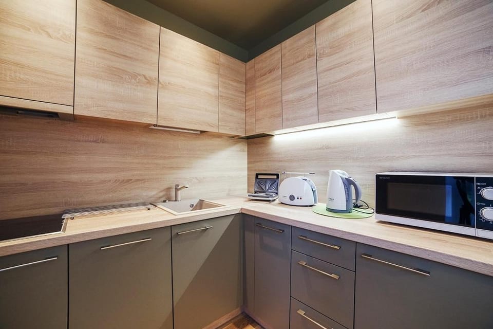 Ballare House Apartment in Lithuania