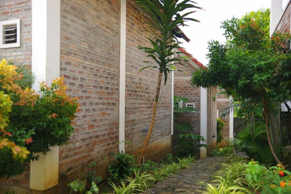 Day, Garden, Garden view