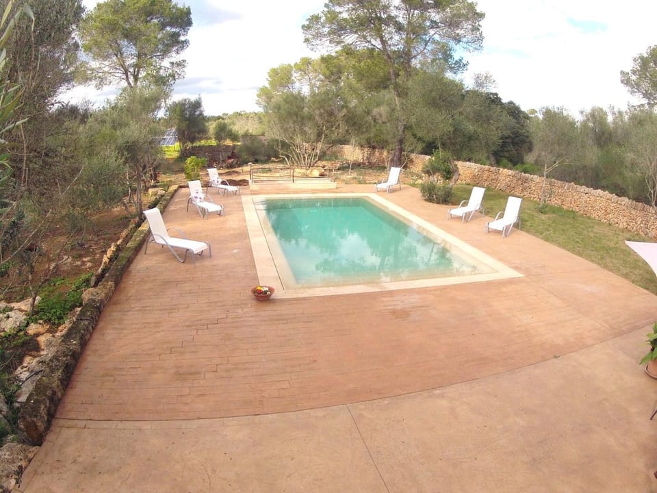 Day, Swimming pool
