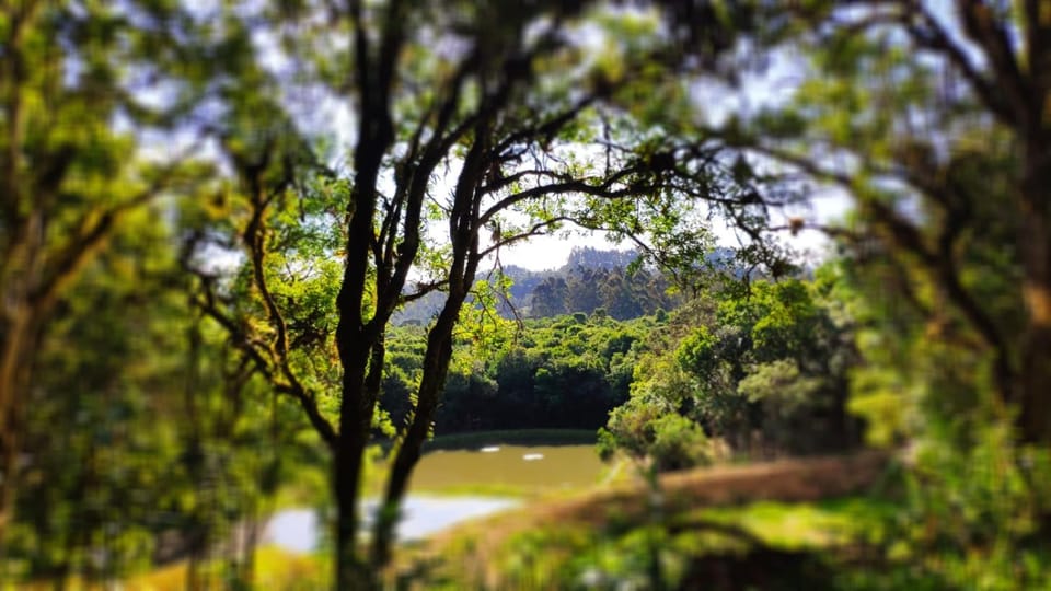 Natural landscape