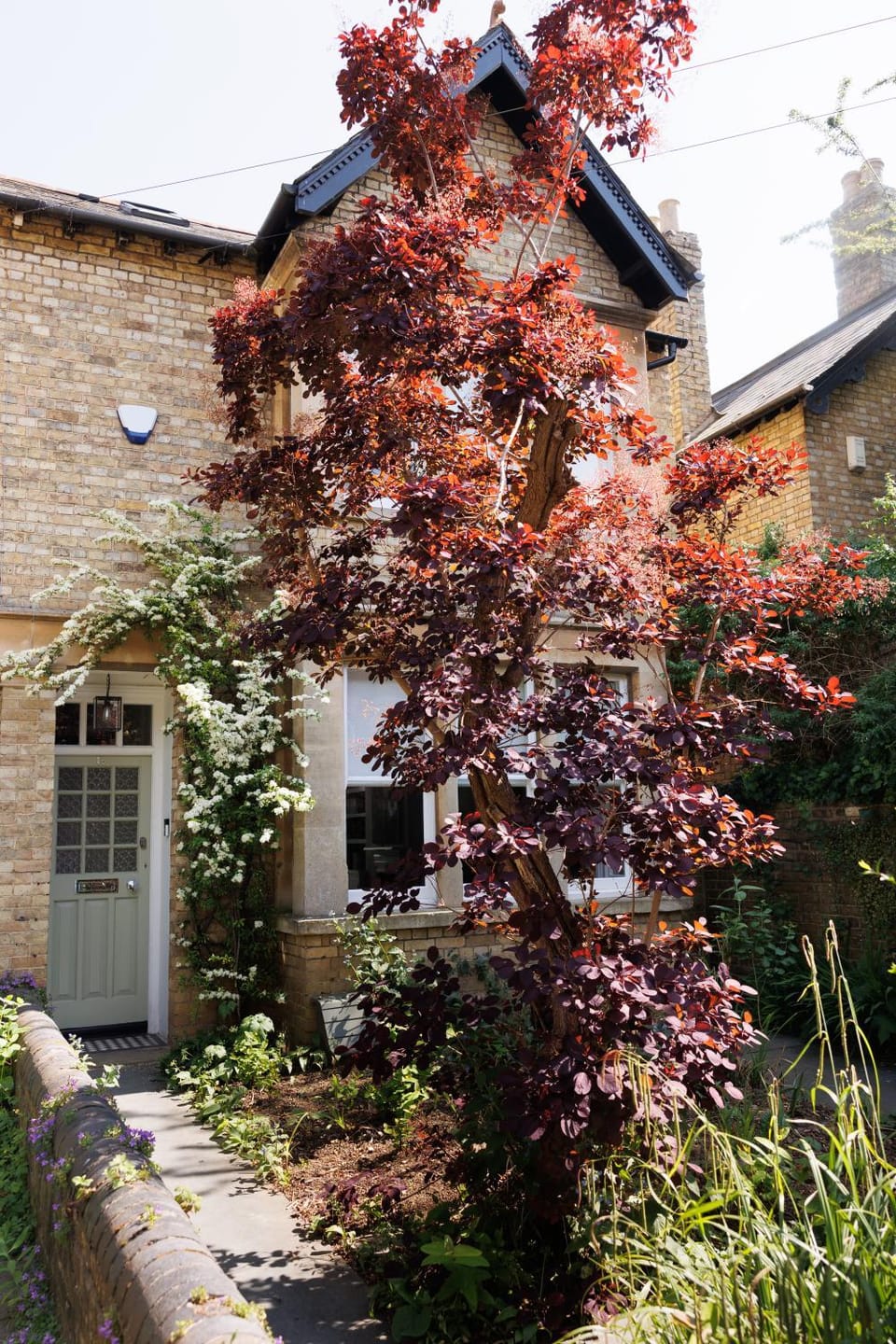 Property building, Garden, Garden view