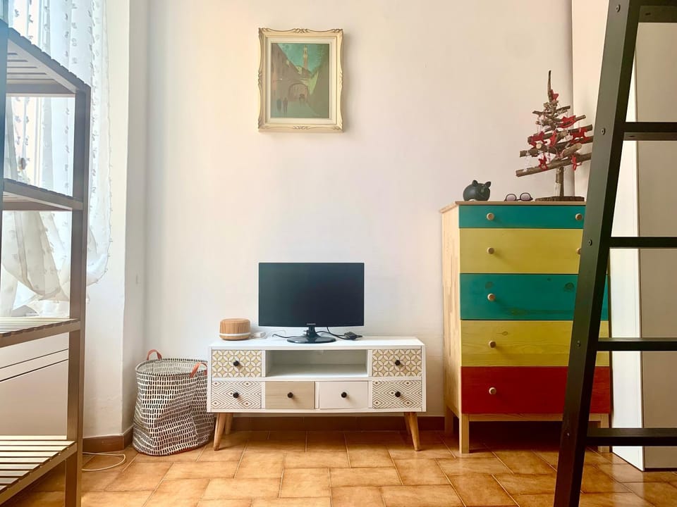 TV and multimedia