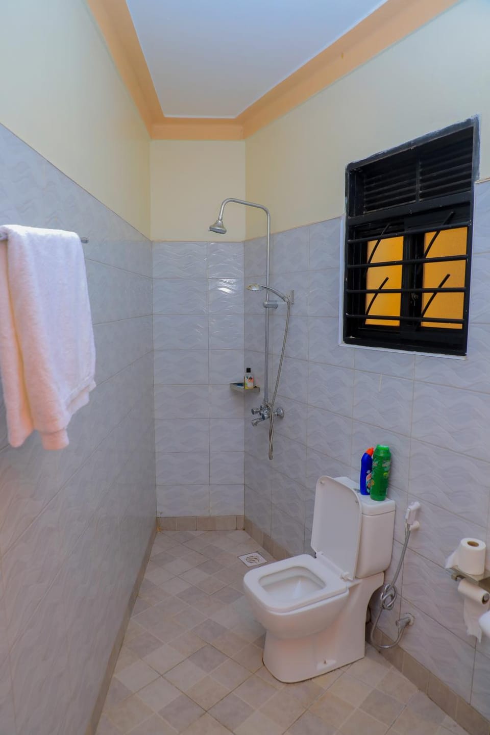 Shower, Toilet, Bathroom, towels