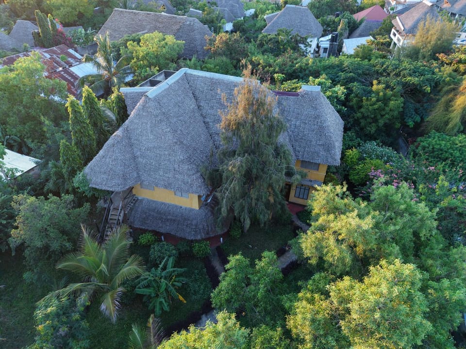 Tropinest bungalows & hostel Hotel in Unguja North Region