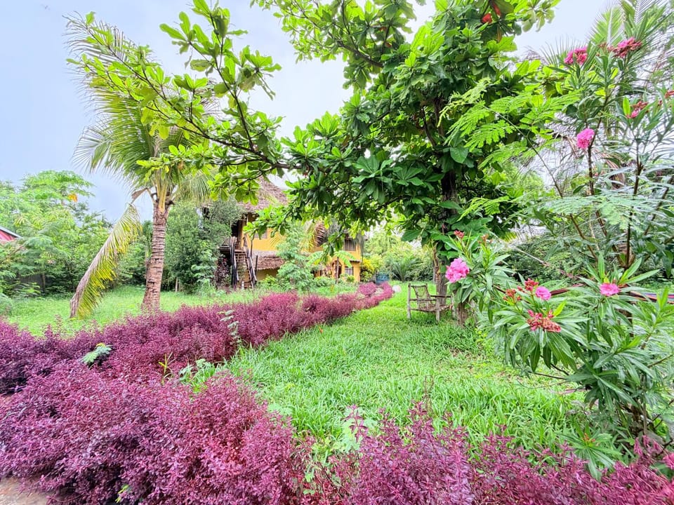 Tropinest bungalows & hostel Hotel in Unguja North Region