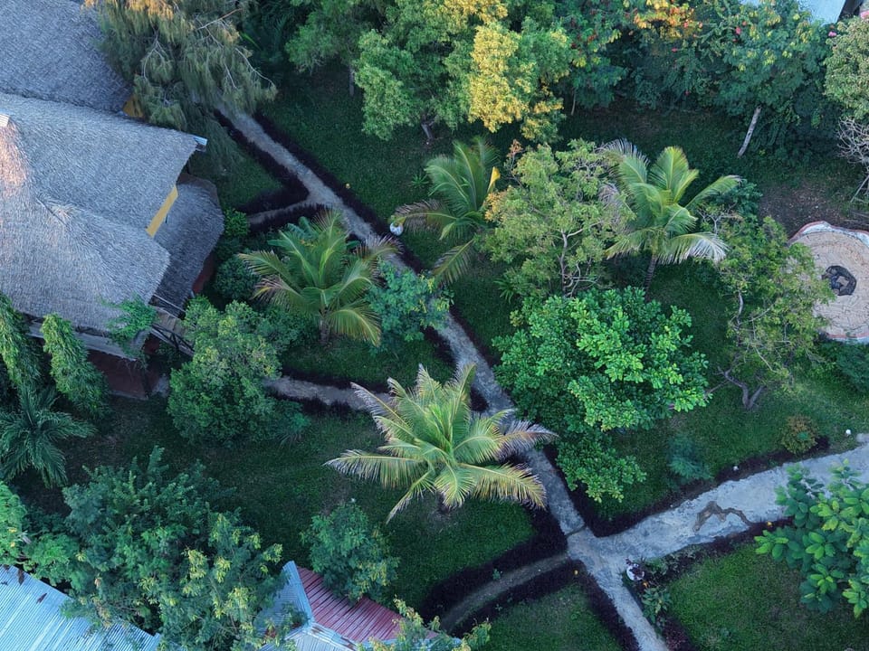 Tropinest bungalows & hostel Hotel in Unguja North Region