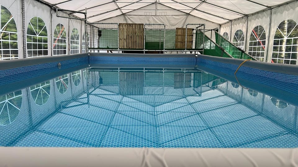 Luxury Country Lodge in Bretherton -sleeps 4 1 double bed & 1 bed settee House in West Lancashire District