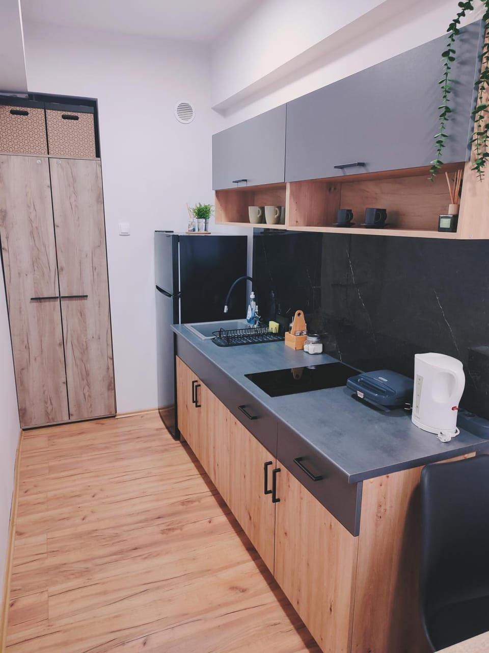 Apartman Vista Centar Apartment in Vojvodina