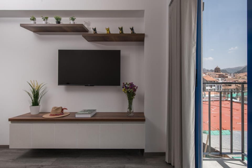 TV and multimedia